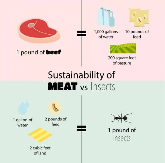 beyondmore infographic