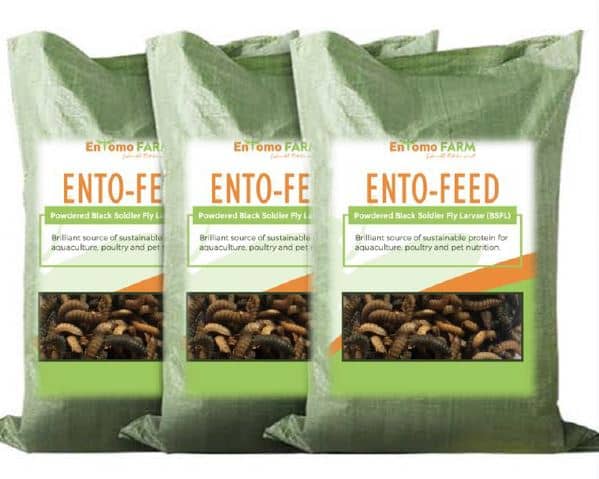 entomo farm product