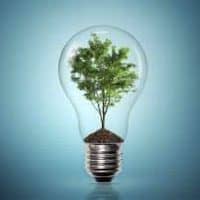 _0012_GREENREV