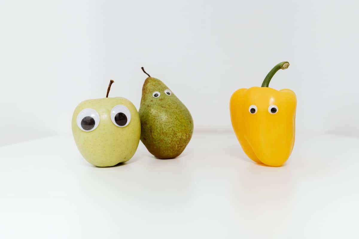 Circular Food Management in the Urban Regions of Austria